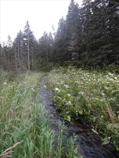 Охотское Море 372